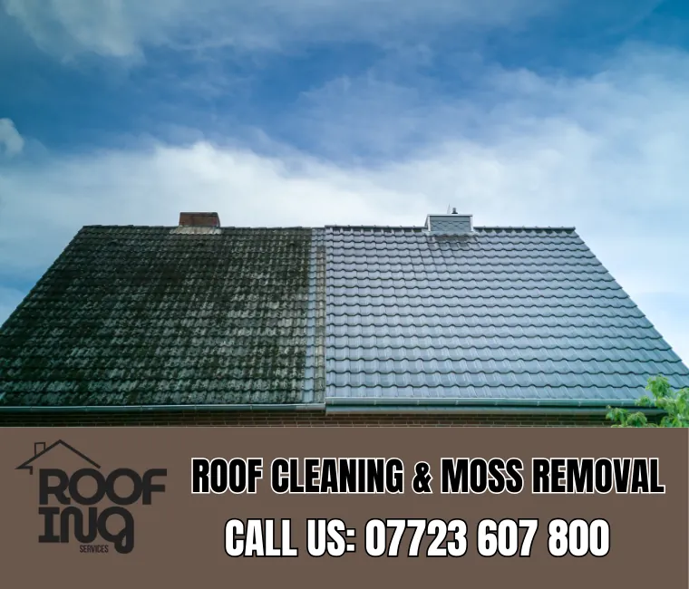 Roof cleaning and moss removal in Charlestown